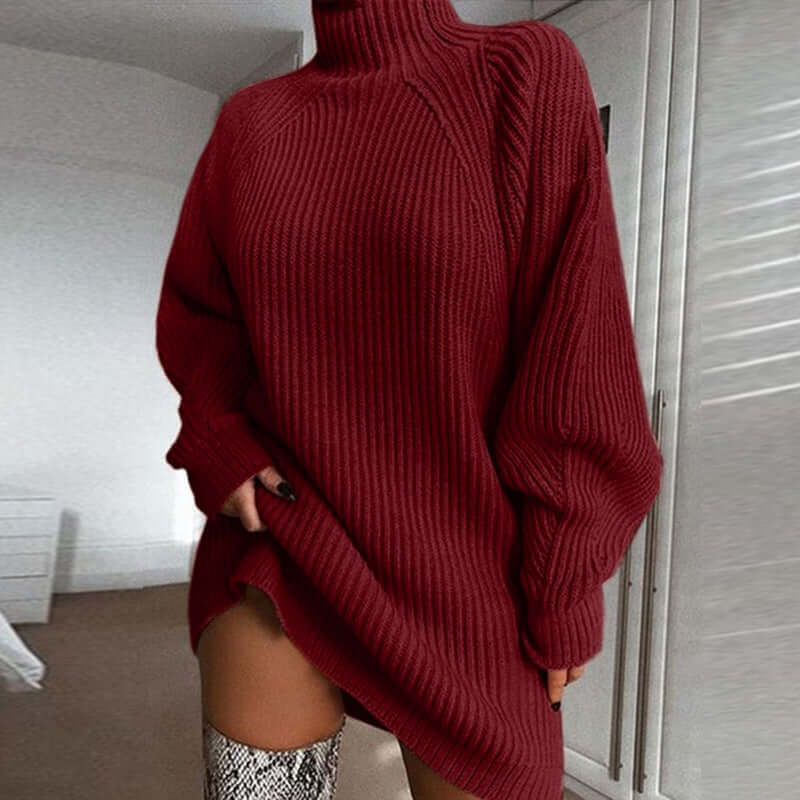 Women Turtleneck Winter Sweater